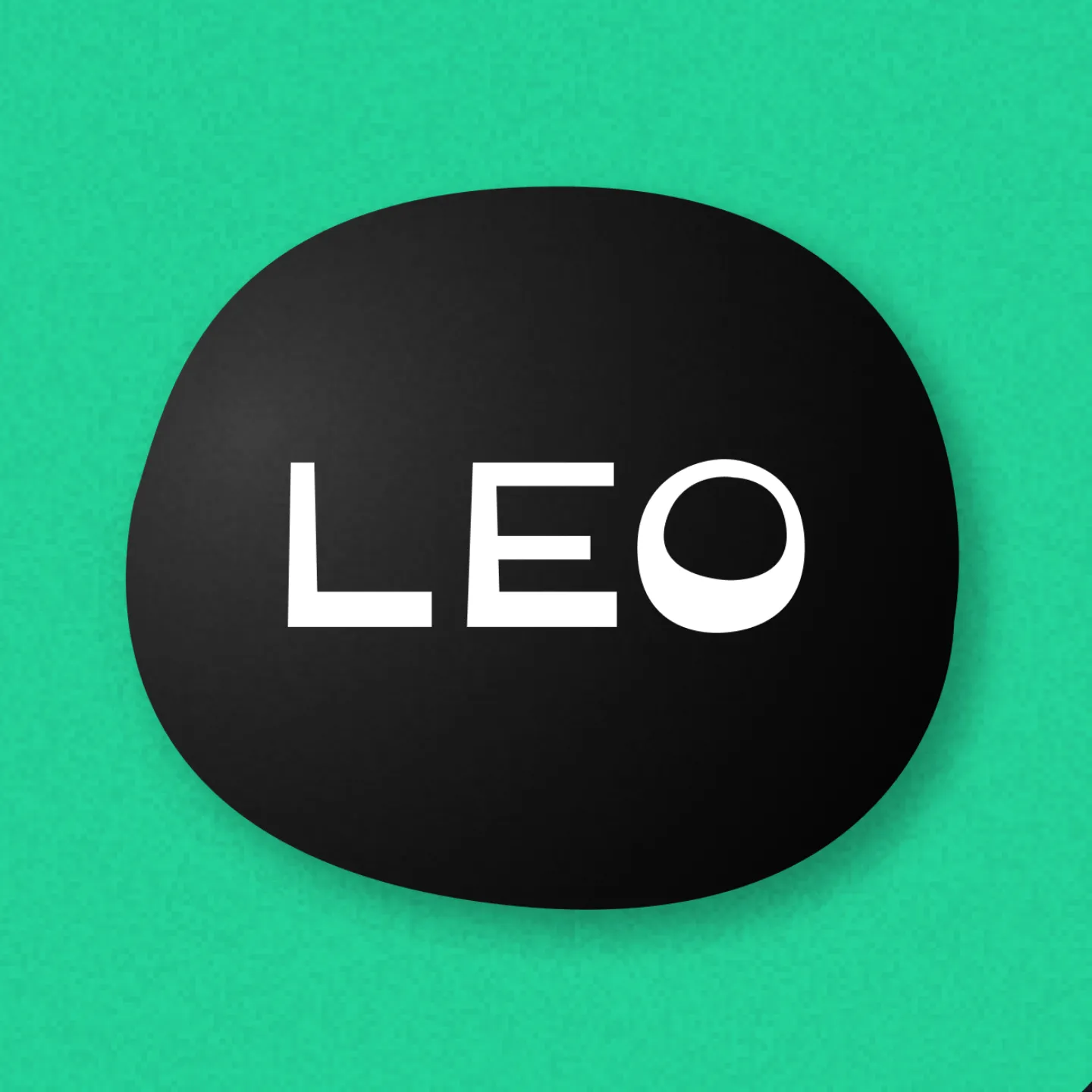 LEO e-reader: accessible design for dyslexic students in higher education